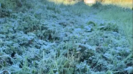 Campos do Jordão bate recorde de frio neste feriado
