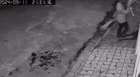 Cachorro é arremessado em terreno baldio para abandono