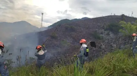 Fogo em mata mobiliza Corpo de Bombeiros em São Sebastião