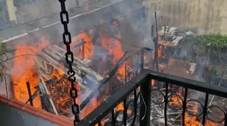 WhatsApp Image 2025-01-22 at 17.04.57