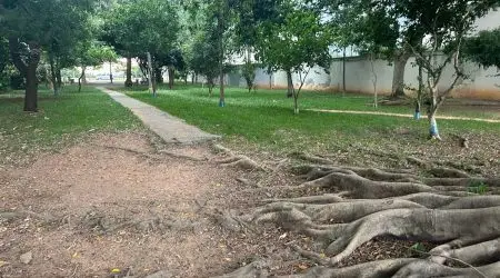 WhatsApp Image 2025-03-14 at 16.40.24