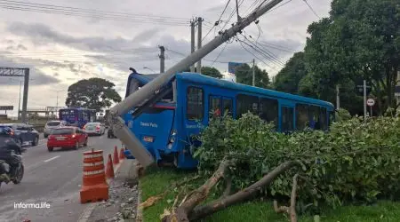 Ônibus perde freio, desce avenida do Jardim Aquarius e atinge 2 árvores e 1 poste