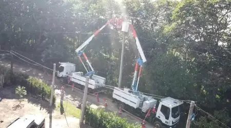 EDP realiza multirão de podas preventivas em cidades da RM Vale do Paraíba