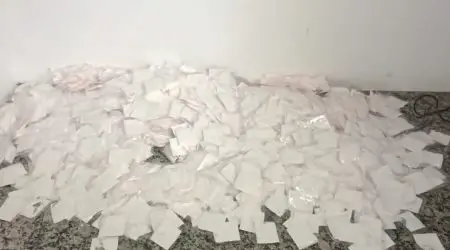 Grande quantidade de cocaína é apreendida em residência de Caraguatatuba