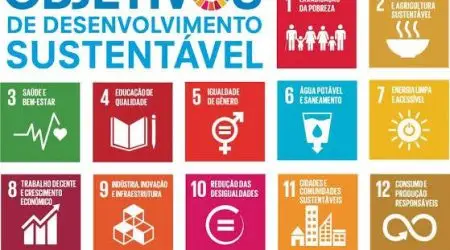 WhatsApp Image 2025-09-03 at 17.54.43