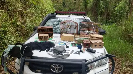 Ocorrência Ambiental