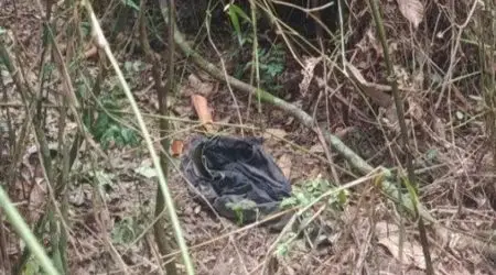 Corpo foi encontrado em área de mata no bairro Capituba, em Guaratinguetá/ Foto: Polícia Civil