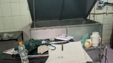 Pela segunda vez, polícia apreende cogumelos alucinógenos em Ubatuba