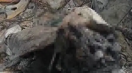 Corpo carbonizado é encontrado em carro em São José dos Campos