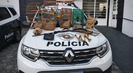 Aves silvestres foram resgatadas de cativeiro irregular em Guaratinguetá