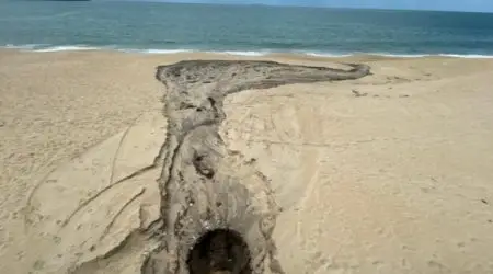 Condomínio é autuado por lançamento irregular de esgoto em praia de São Sebastião