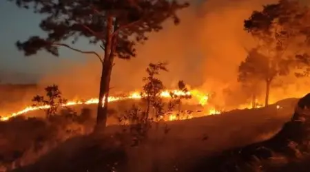 Incêndio no Parque Itaim atinge 80 mil m² em Taubaté
