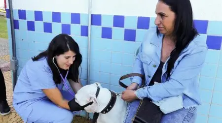 Inscrições abertas para castração gratuita de pets em São José