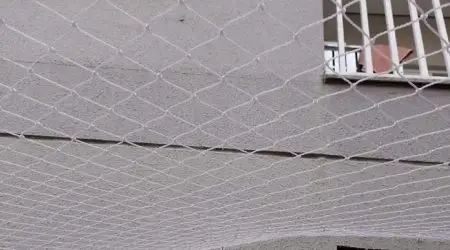 Em dois dias seguidos, cachorro cai do 4º andar de prédio no Urbanova