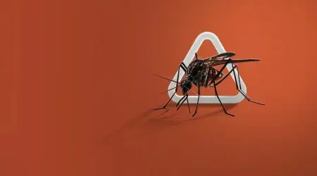 São José dos Campos confirma quarta morte por dengue em 2025
