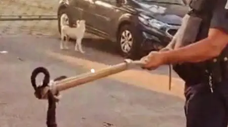 Foto: reprodução Ocorrências 24h