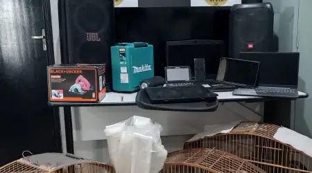 Operação da Polícia Civil encontra munição e trinca-ferros em imóvel de Jacareí