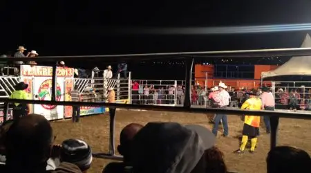 Câmara aprova projeto que autoriza volta do rodeio em Caçapava