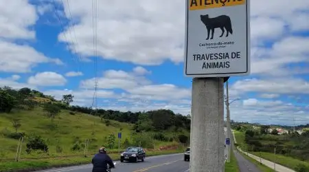 São José dos Campos recebe 55 novas placas para travessia de animais silvestres