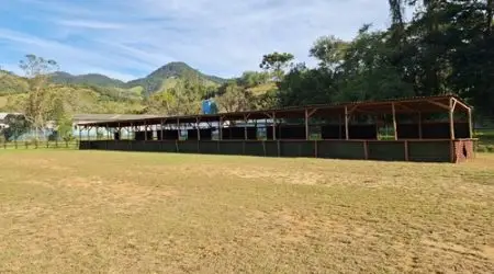 Festa do Tropeiro anima São Francisco Xavier neste final de semana!